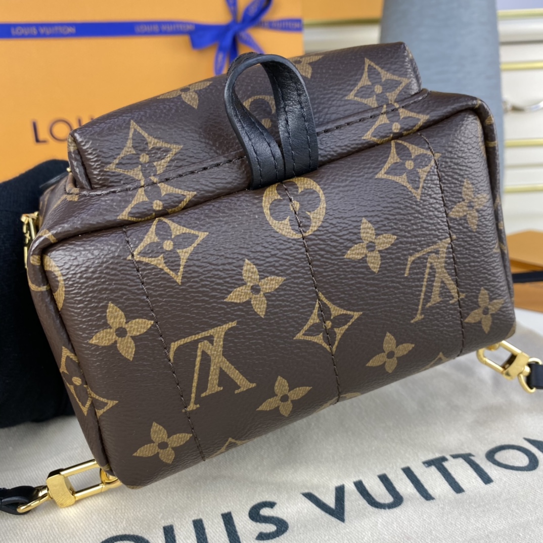 Louis Vuitton PALM SPRINGS PM Backpack Monogram M44871